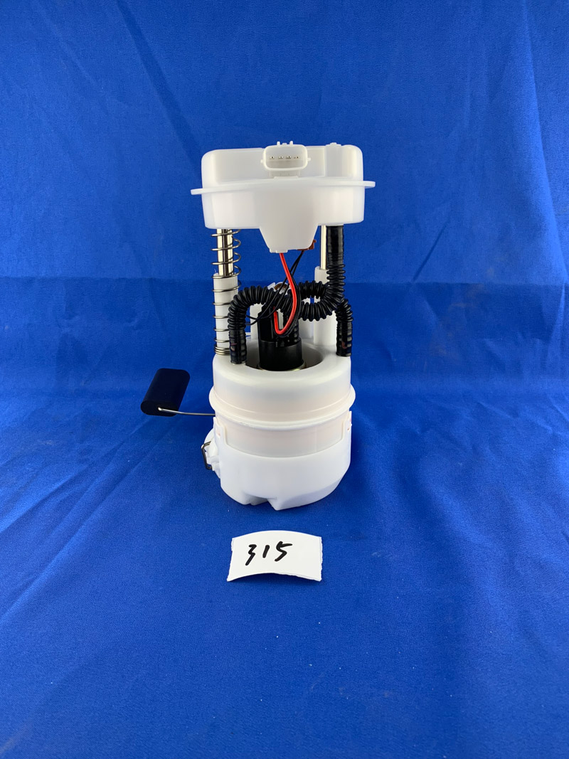 Automotive Electric Fuel Pump Assembly 17040-AX000 17040-EE500 