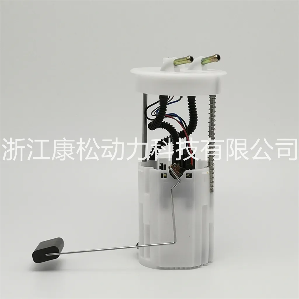 Havel Auto Parts Electric Fuel Pump Assembly 1106100bk00xa for Havel K00 H3 H5 (Diesel)