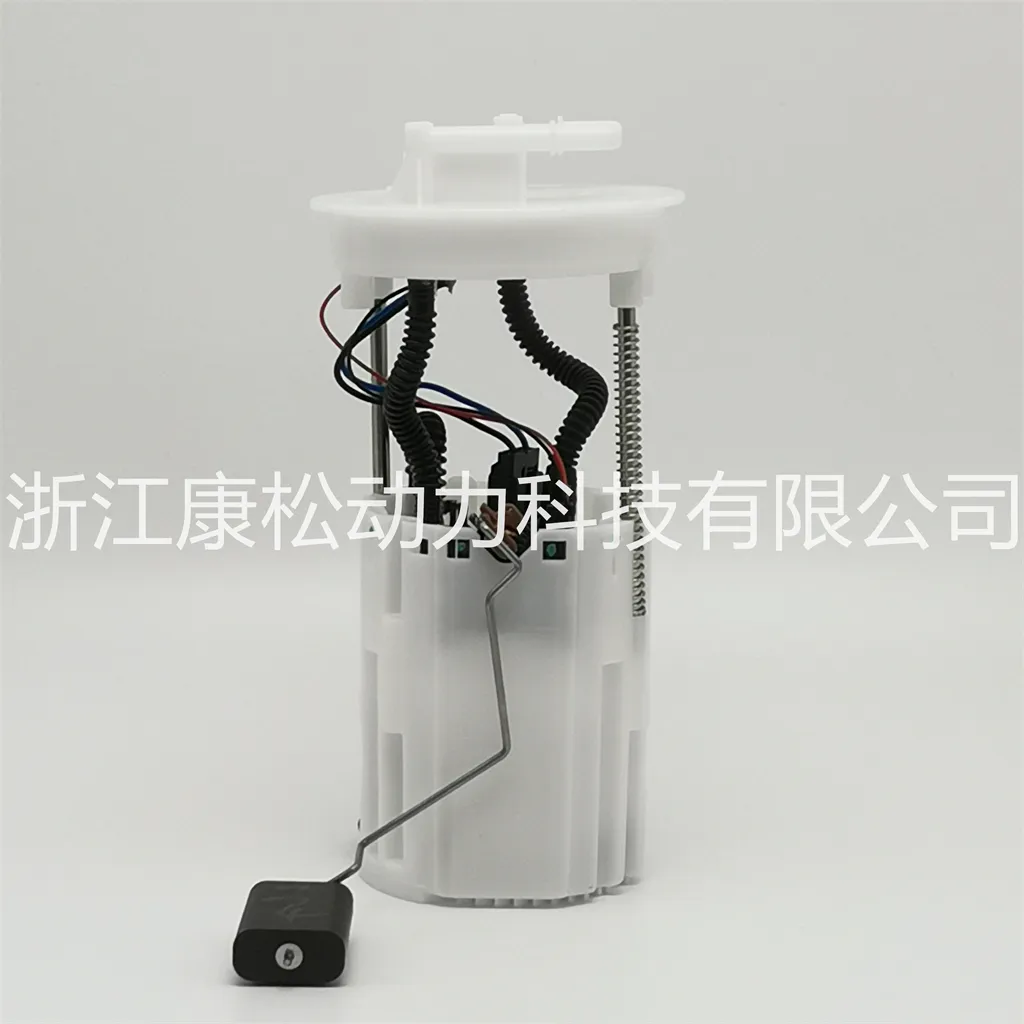 OEM 1106100-N01 fuel pump assembly  for Chang'an Rui recruitment