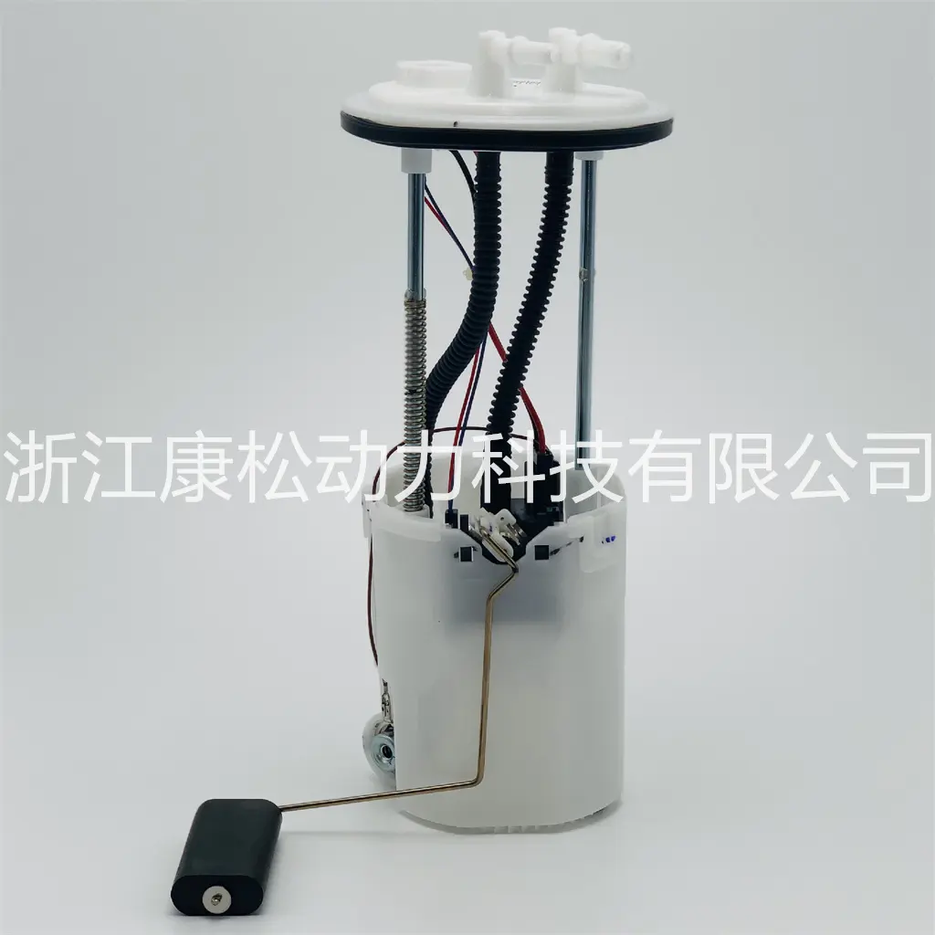 fuel pump assembly for changan Raeton cc oe 1106100-BH01