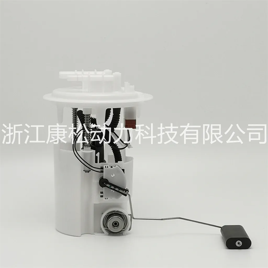 KSA944 HIGH Quality Fuel Pump Assembly for Peugeot DS5LS