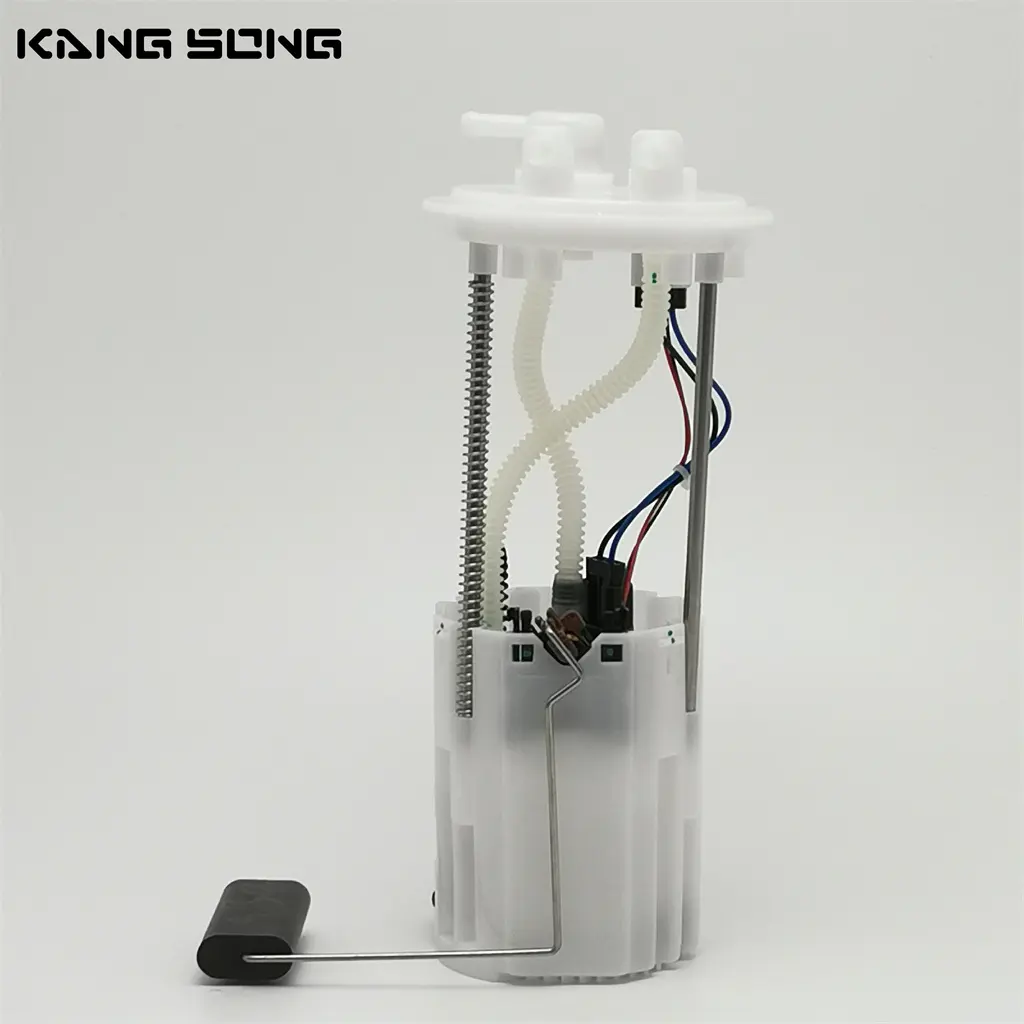 China Electric Fuel Pump Assembly 1106100-D02 for SWS X7 1.5T
